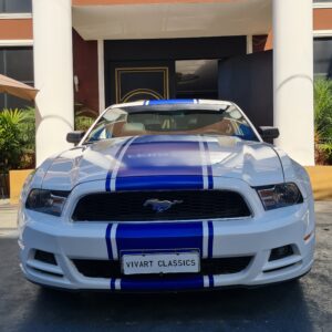 Ford Mustang  Bicolor